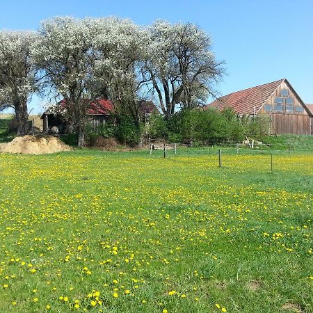 Вілла A-Sissy-Hof Bischofstetten Екстер'єр фото