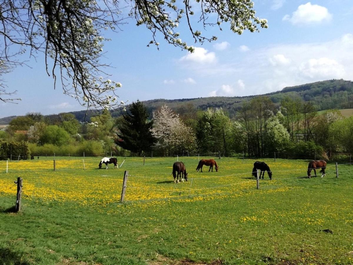 Вілла A-Sissy-Hof Bischofstetten Екстер'єр фото